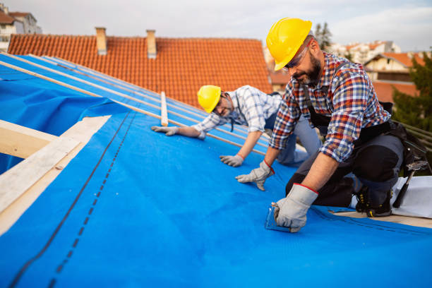 Best Metal Roofing Contractor  in Mcgraw, NY